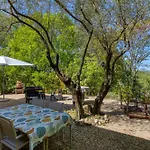 Holiday home La Colline Des Pins *