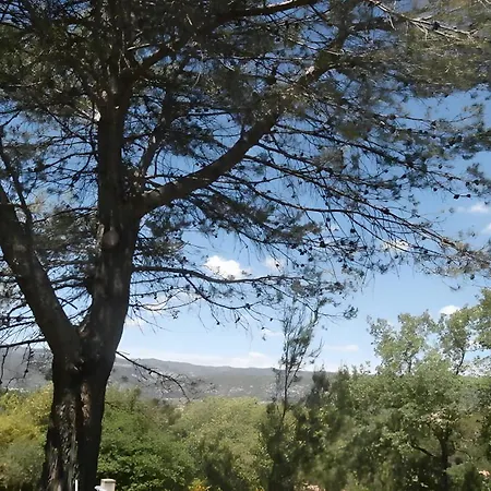 La Colline Des Pins Nyaraló