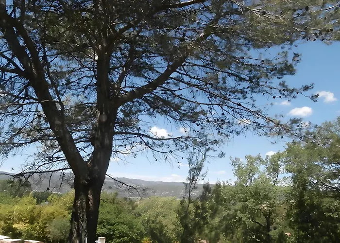 La Colline Des Pins Ferienhaus